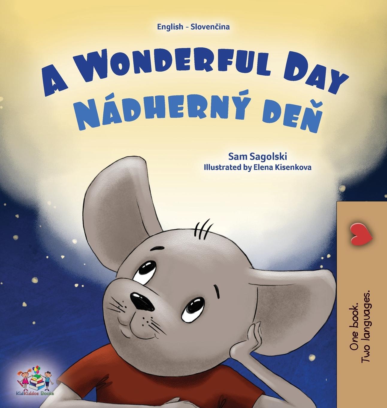 Kniha A Wonderful Day (English Slovak Bilingual Children's Book) Kidkiddos Books