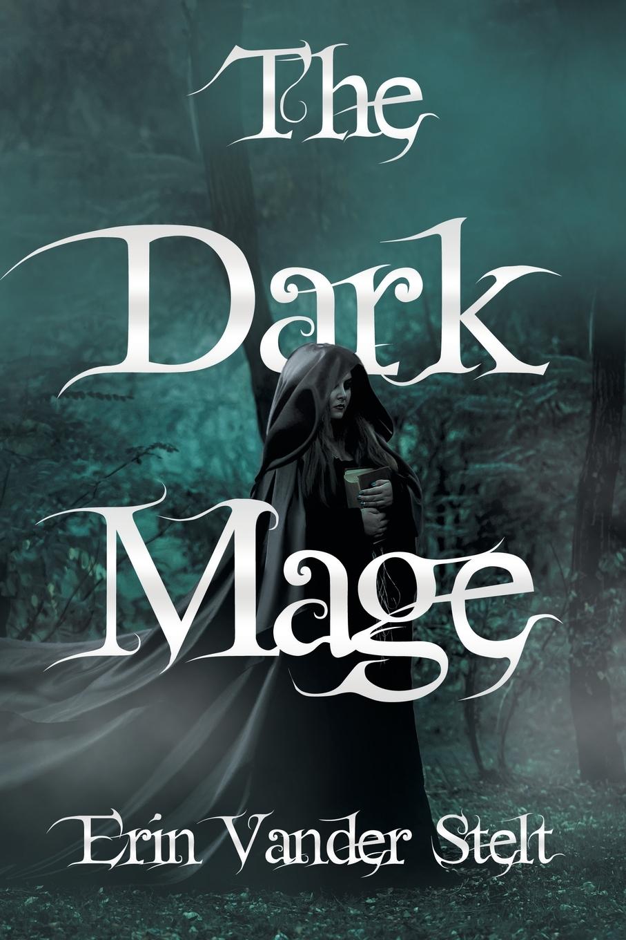 Kniha The Dark Mage Erin Vander Stelt