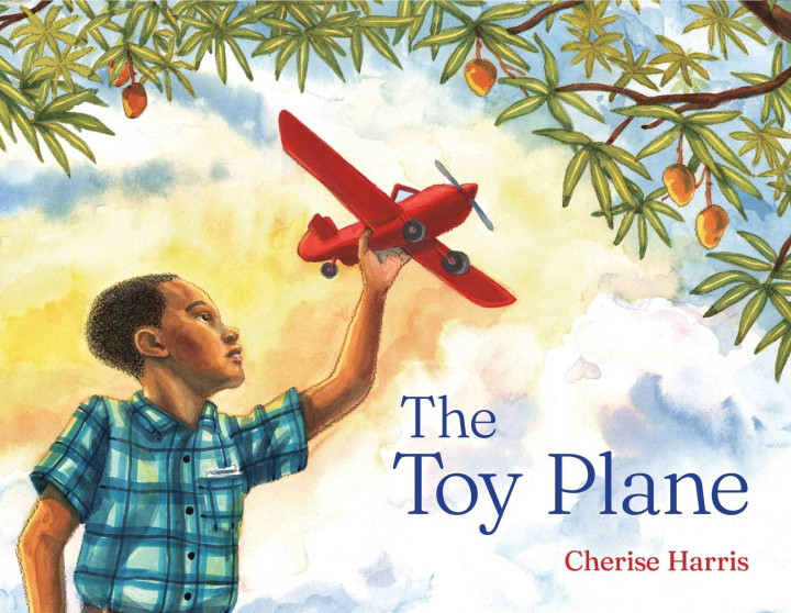 Book The Toy Plane Cherise Harris
