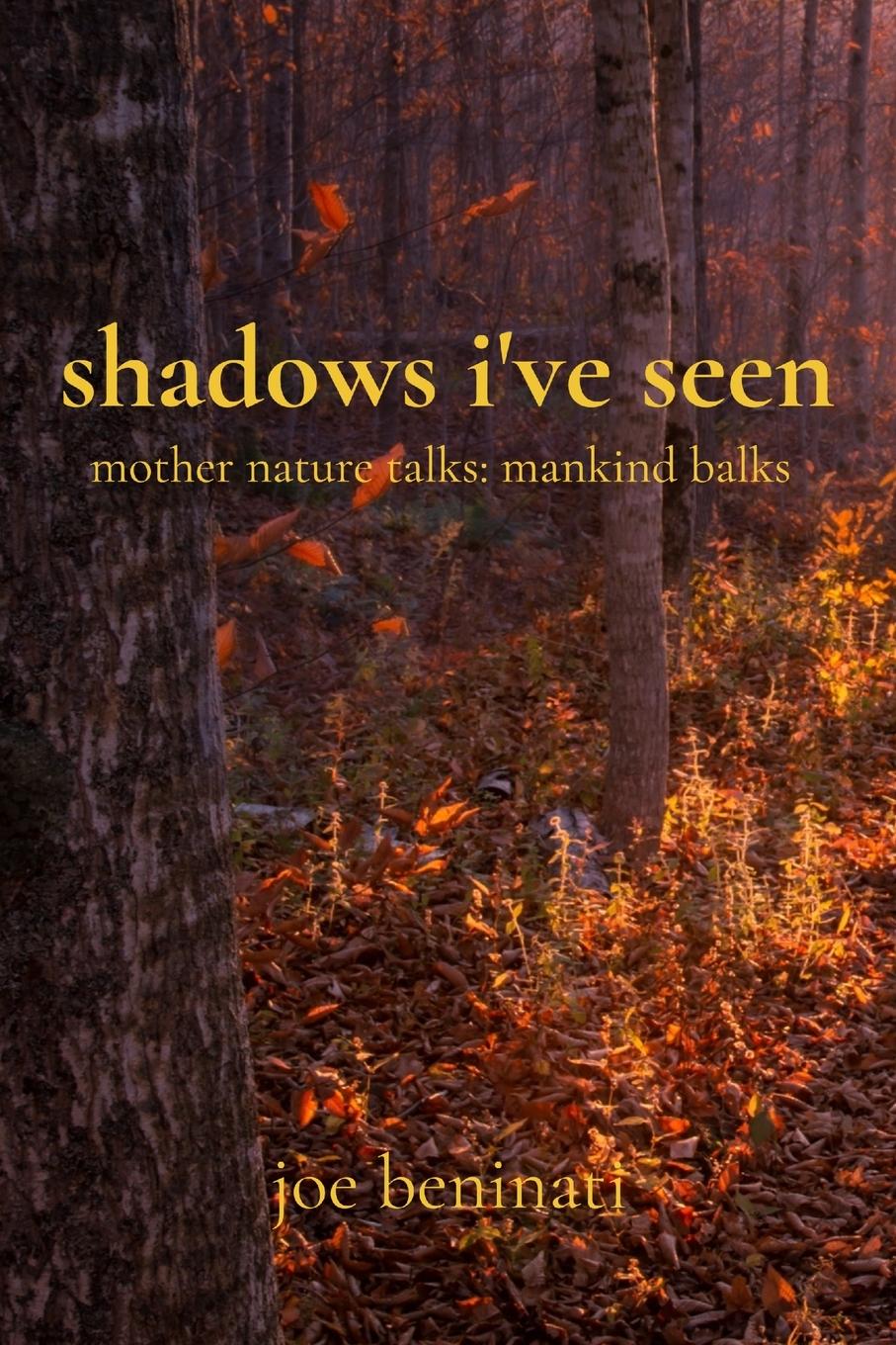 Kniha shadows i've seen joe beninati