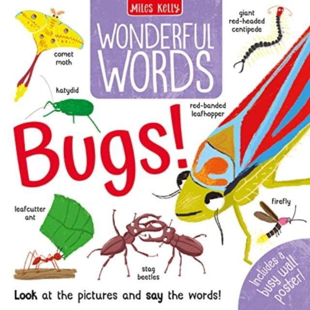 Book Wonderful Words: Bugs! Amy Johnson
