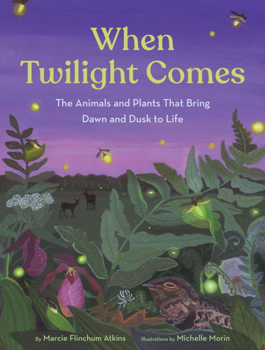 Kniha When Twilight Comes Michelle Morin