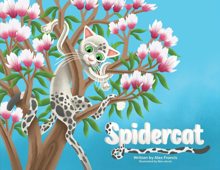 Kniha Spidercat Ben Jervis