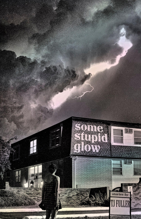 Book Some Stupid Glow FULLER T J