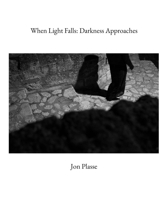 Kniha When Light Falls PLASSE JON