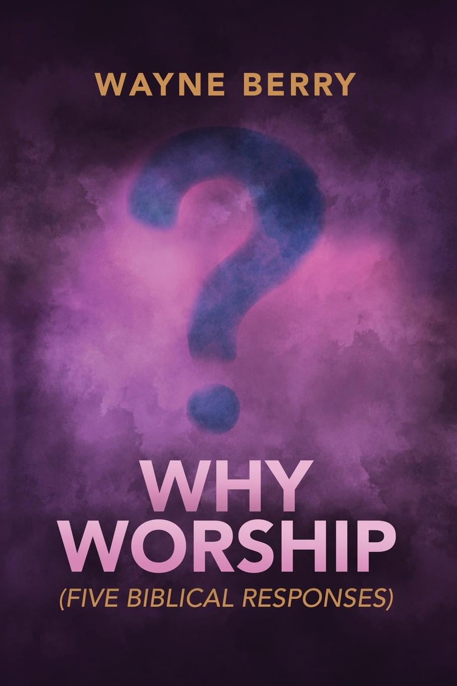 Kniha Why Worship Wayne Berry