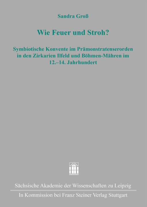 Книга Wie Feuer und Stroh? Sandra Groß