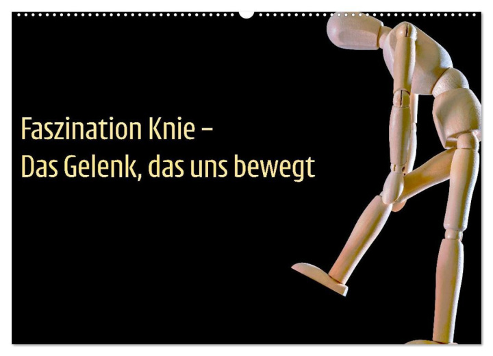 Kalendár/Diár Faszination Knie - Das Gelenk, das uns bewegt (Wandkalender 2026 DIN A2 quer), CALVENDO Monatskalender Calvendo
