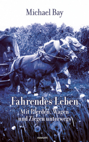 Kniha Fahrendes Leben Michael Bay