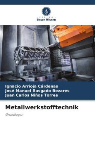 Kniha Metallwerkstofftechnik José Manuel Rasgado Bezares