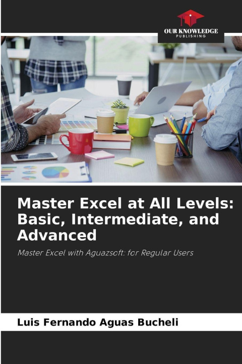 Kniha Master Excel at All Levels: Basic, Intermediate, and Advanced Luis Fernando Aguas Bucheli