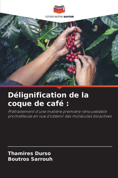 Kniha Délignification de la coque de café : Boutros Sarrouh