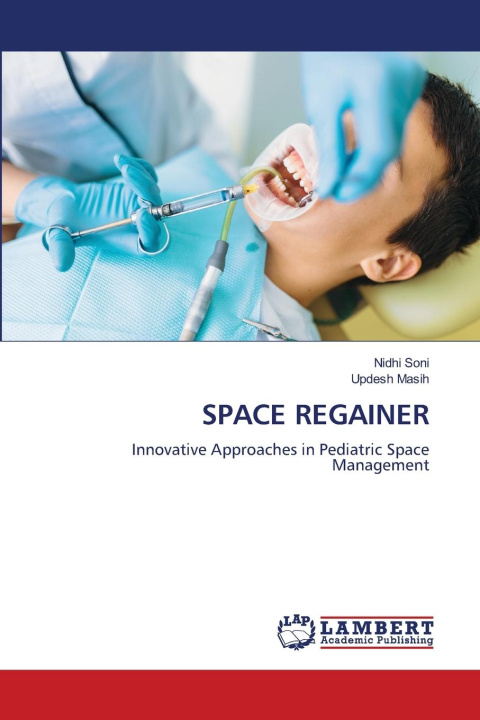 Kniha SPACE REGAINER Updesh Masih
