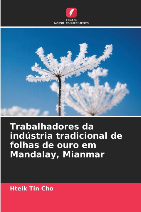 Kniha Trabalhadores da indústria tradicional de folhas de ouro em Mandalay, Mianmar Hteik Tin Cho