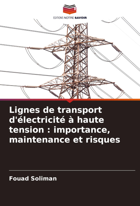 Knjiga Lignes de transport d'électricité à haute tension : importance, maintenance et risques Fouad Soliman