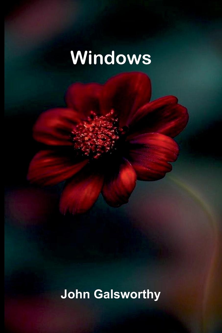 Kniha Windows John Galsworthy