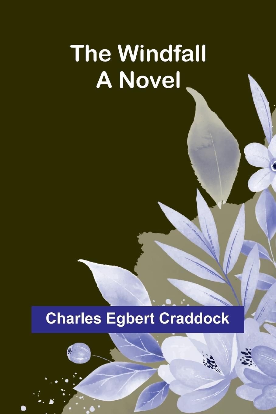 Kniha The windfall Charles Egbert Craddock
