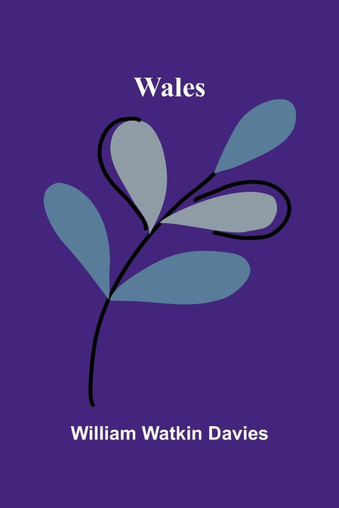 Kniha Wales William Watkin Davies