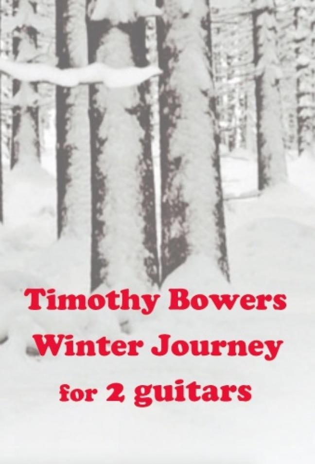 Kniha Winter Journey 
