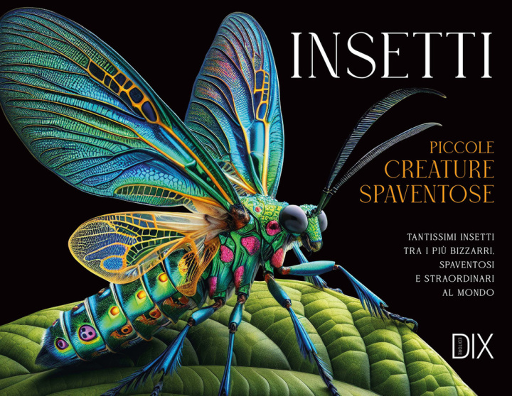Kniha insetti Susan Barraclough