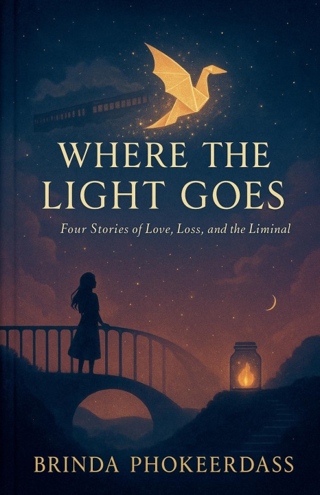 Knjiga Where the Light Goes 