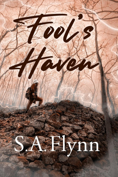 Kniha Fool's Haven S.A. Flynn