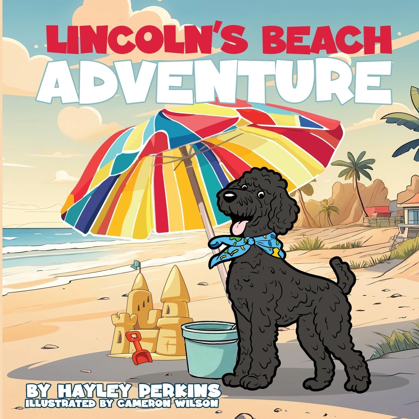 Kniha Lincoln's Beach Adventure Hayley Perkins