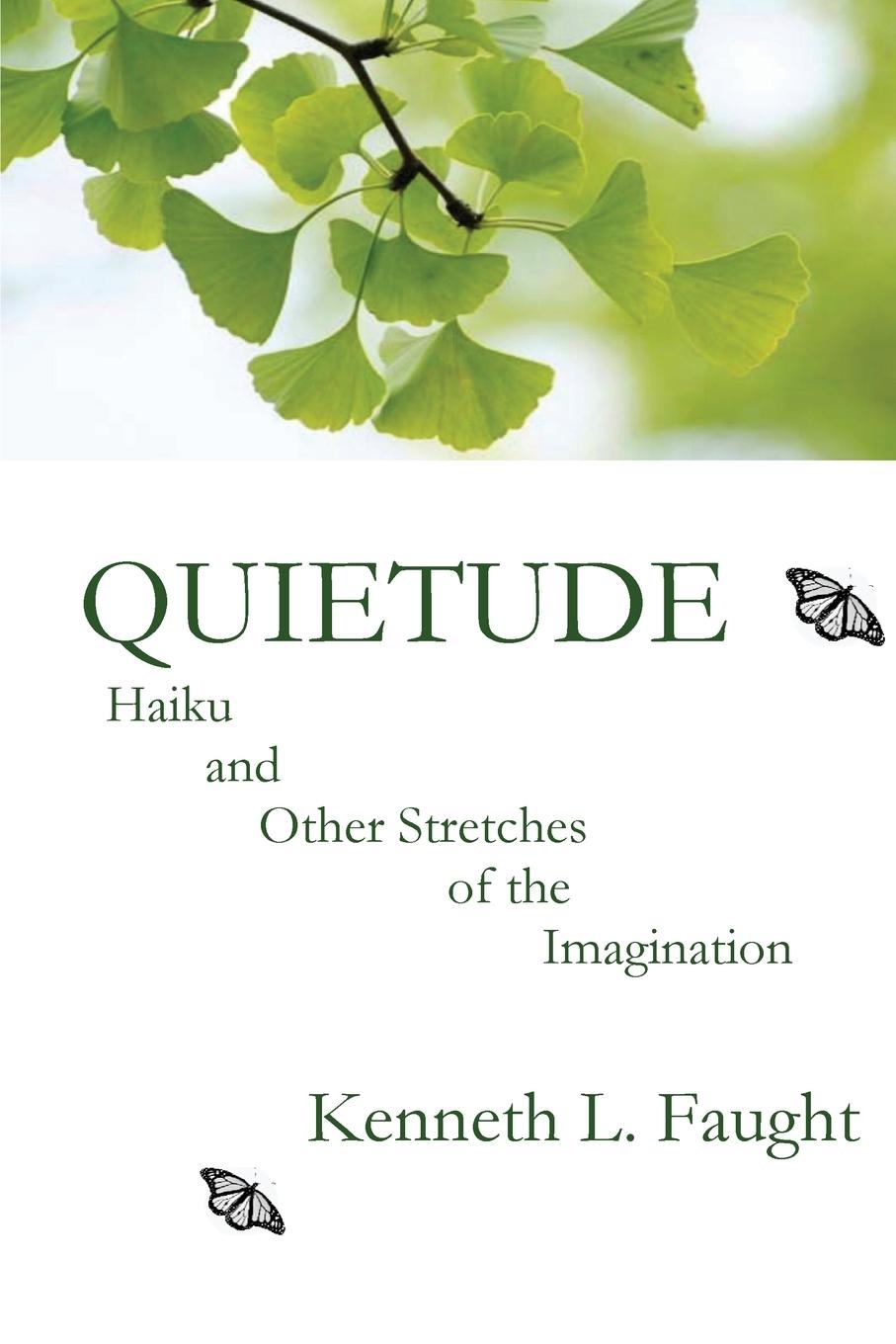 Kniha Quietude 