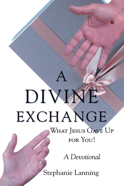 Kniha A DIVINE EXCHANGE Stephanie Lanning