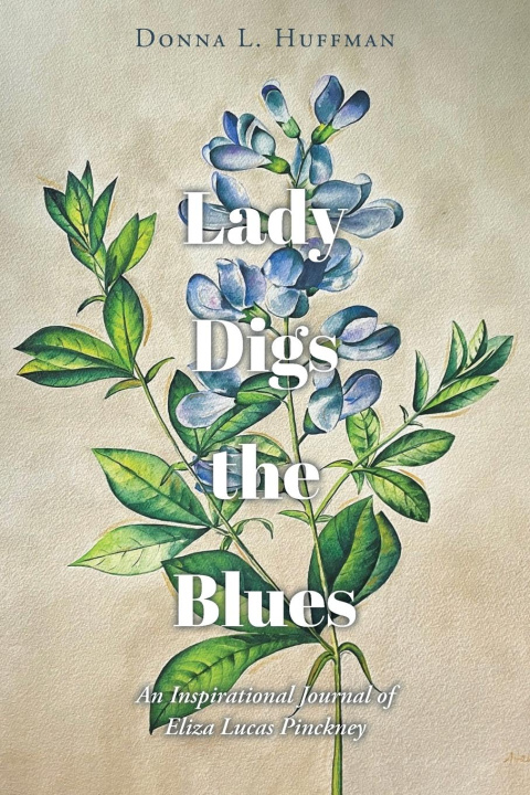 Kniha Lady Digs the Blues Donna L. Huffman