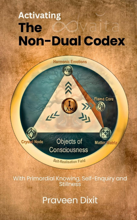 Kniha Activating the Non-Dual Codex 