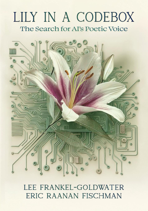 Kniha Lily in a Codebox Eric Raanan Fischman