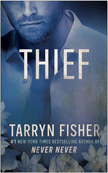 Kniha Thief Tarryn Fisher