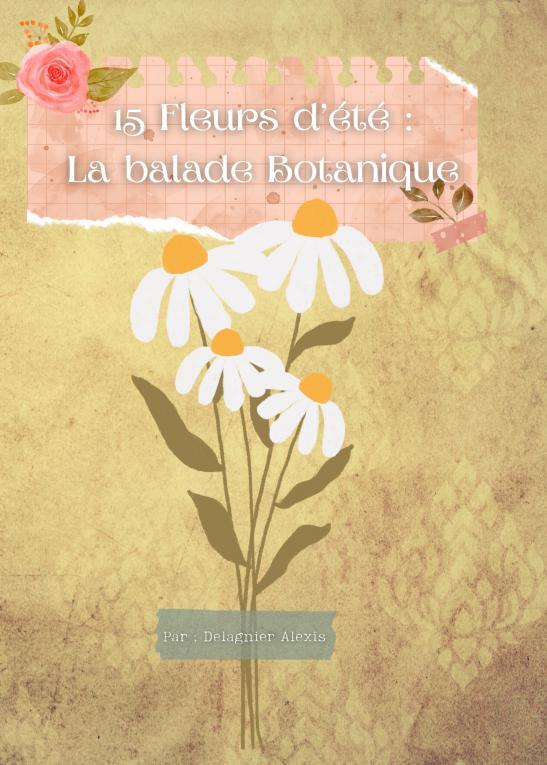 Buch 15 Fleurs d'été Alexis