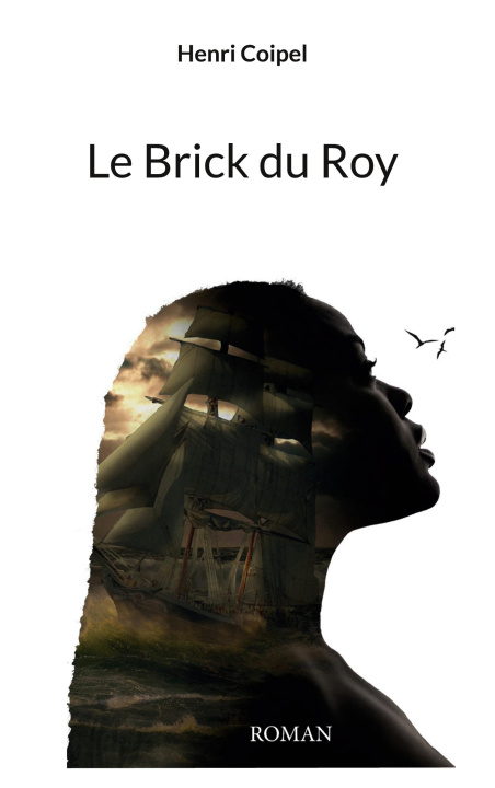Knjiga BRICK DU ROY COIPEL HENRI