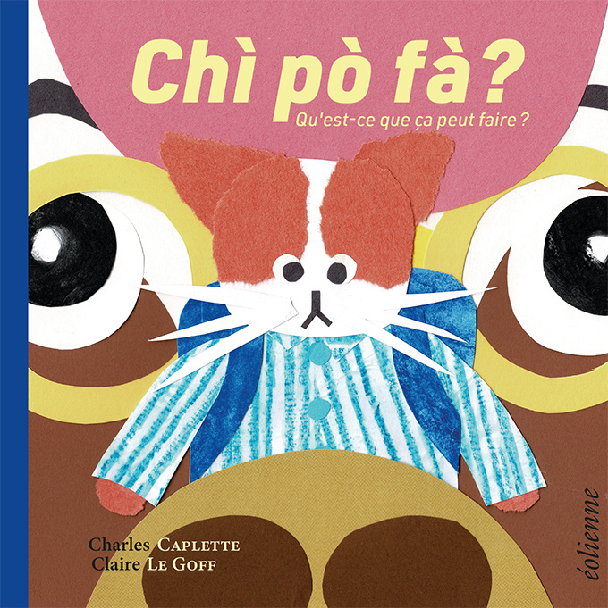 Kniha Chì pò fà? Le Goff