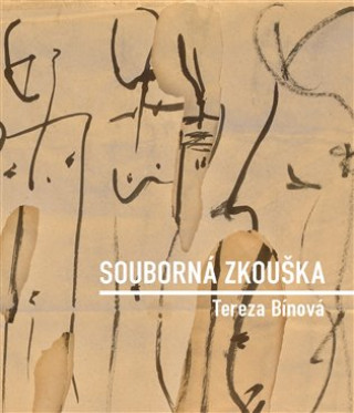 Buch Souborná zkouška Tereza Bínová