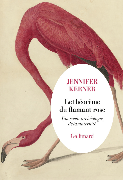 Boek LE THEOREME DU FLAMANT ROSE JENNIFER KERNER