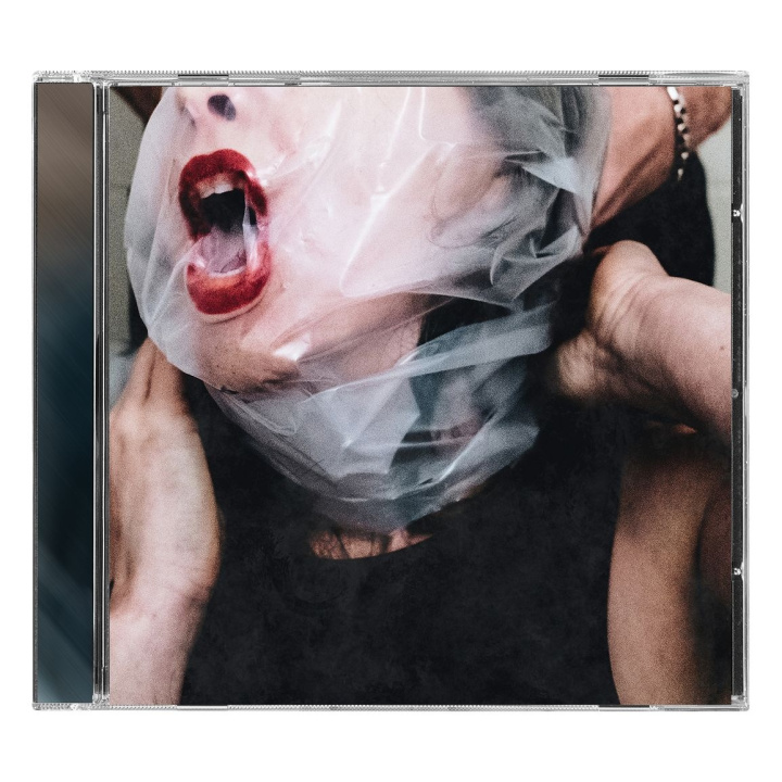 Audio Flesh Stays Together Dying Wish