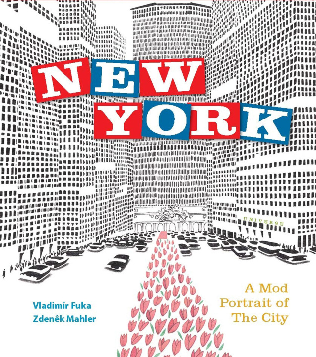 Kniha New York Vladimir Fuka