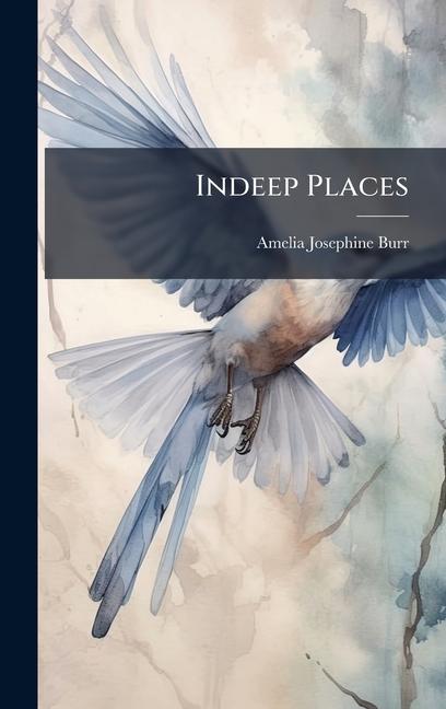 Kniha Indeep Places 