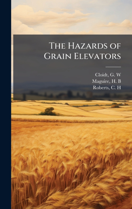 Knjiga The Hazards of Grain Elevators H B Maguire