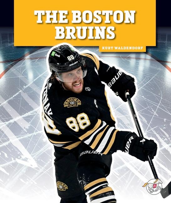 Libro The Boston Bruins 