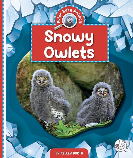 Kniha Snowy Owlets 