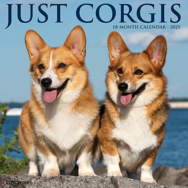 Βιβλίο Corgis 2026 12 X 12 Wall Calendar Willow Creek Press