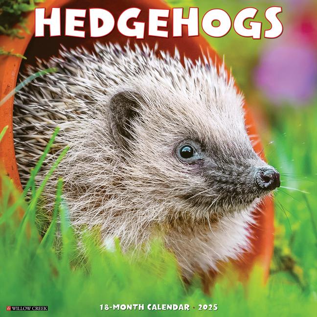Knjiga Hedgehogs 2026 12 X 12 Wall Calendar Willow Creek Press