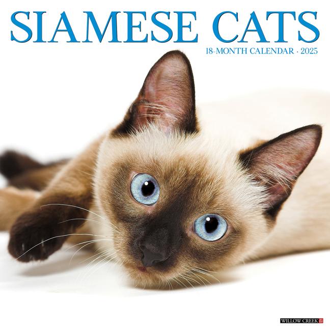 Calendario/Diario Siamese Cats 2026 12 X 12 Wall Calendar Willow Creek Press