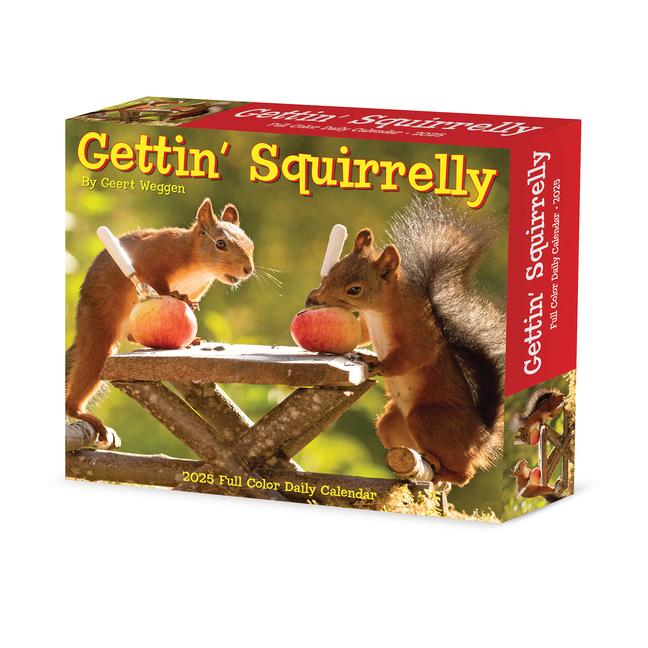 Βιβλίο Gettin' Squirrelly 2026 5.4 X 6.2 Box Calendar 