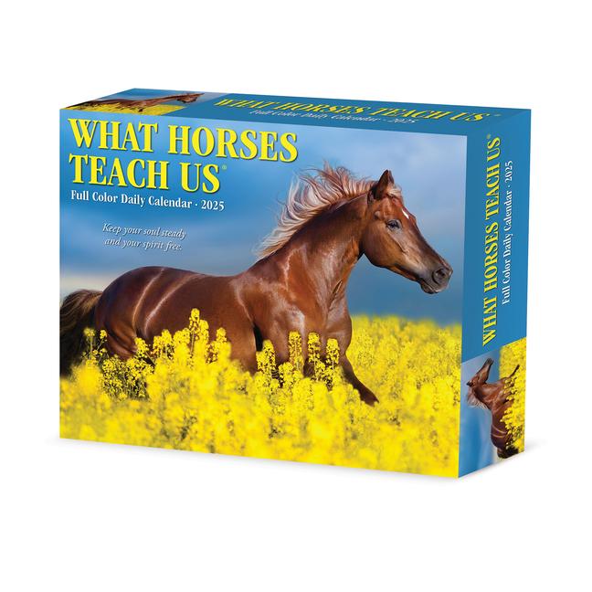 Libro What Horses Teach Us 2026 5.4 X 6.2 Box Calendar Glen Dromgoole