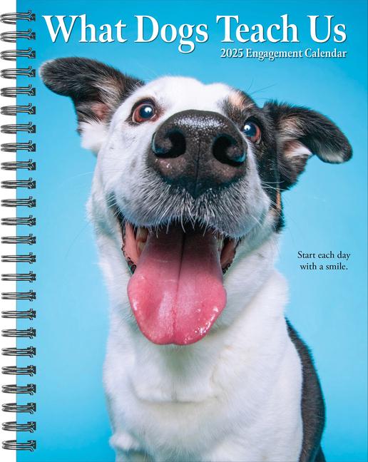 Kniha What Dogs Teach Us 2026 6.5 X 8.5 Engagement Calendar Glen Dromgoole